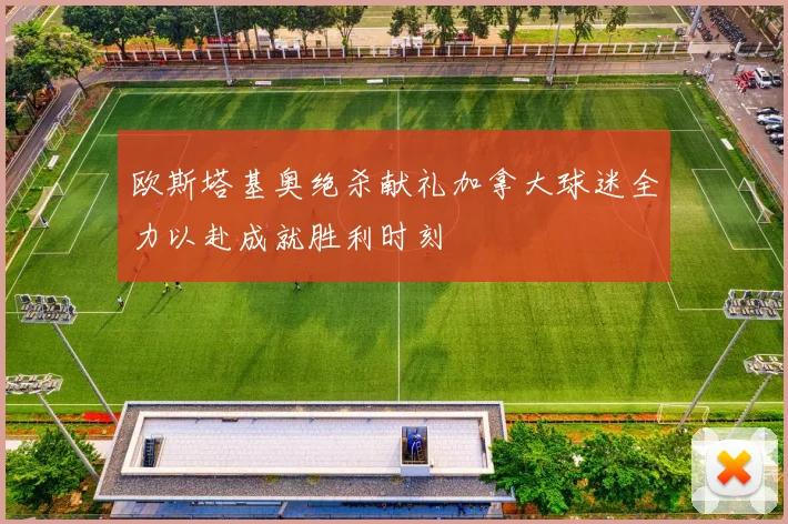 欧斯塔基奥绝杀献礼加拿大球迷全力以赴成就胜利时刻