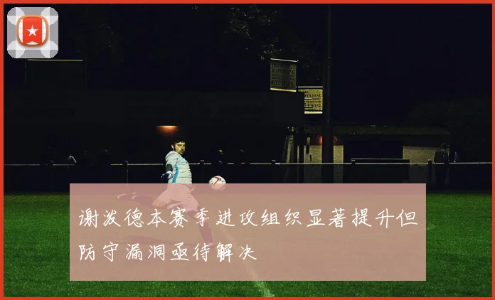 谢泼德本赛季进攻组织显著提升但防守漏洞亟待解决